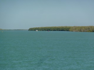 P1030781