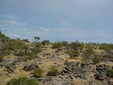 P1030853