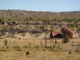 P1040003