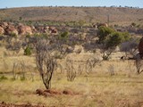 P1040004