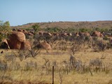 P1040005