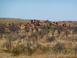 P1040006