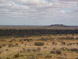 P1040084