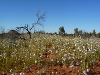 P1040126