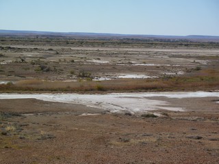 P1040164