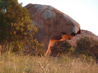 P1040250