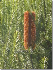P1040471