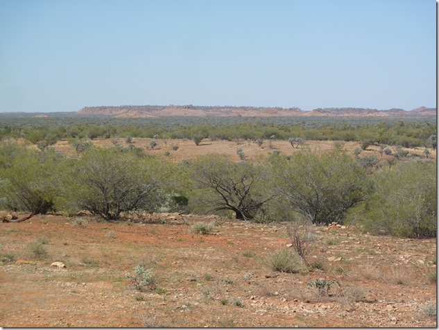 P1050544