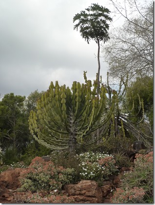 P1060237