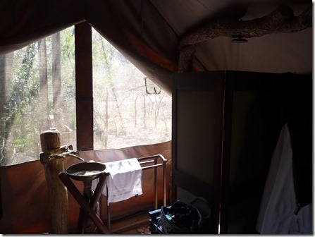 Plains-Camp-6_thumb1
