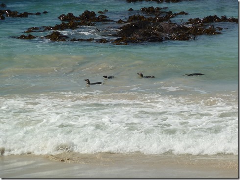 P1060582