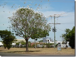 P1070018