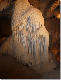 P1010052