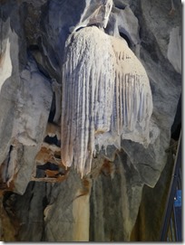 P1010055