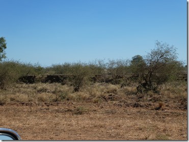 P1010087