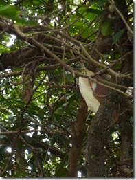 P1070297