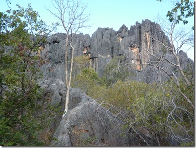 P1070328
