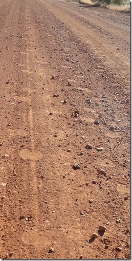 Camel Tracks 2