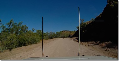 Duncan Road 2   Roo