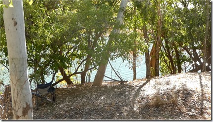 Fitzroy R Campsite