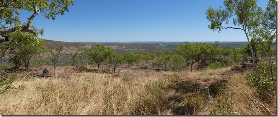 P1010248