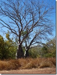 P1010252