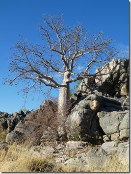 P1010361