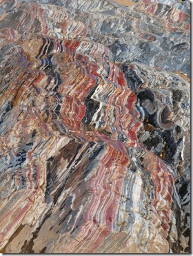 P1010532